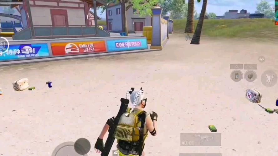 和平精英辅助【巡查员直装V1.0】人物透视 雷达预警 全车美化 枪械美化 人物加速